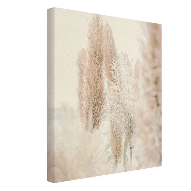 Canvas schilderijen - Goud Pampas Grass In White Light