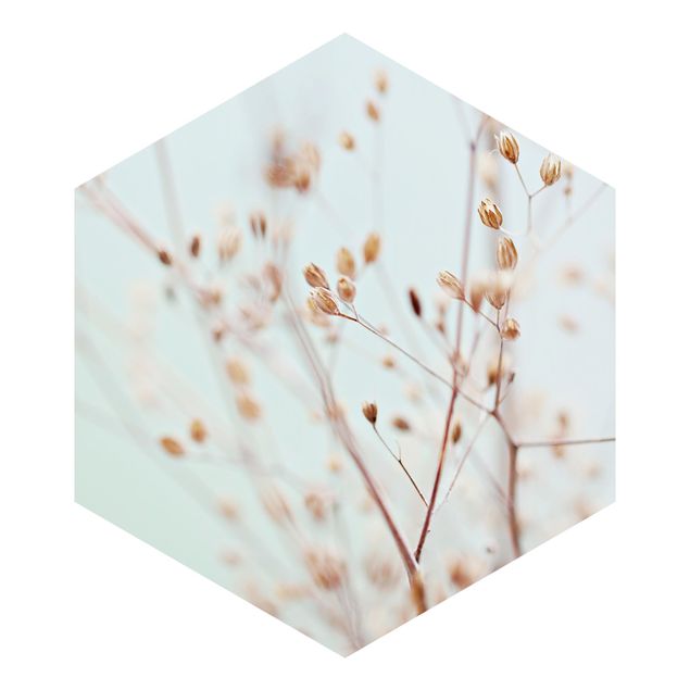 Hexagon Behang Pastel Buds On Wild Flower Twig