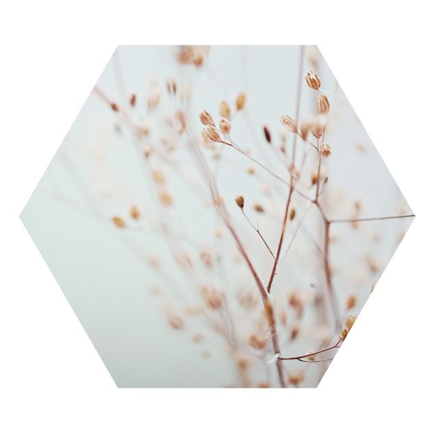 Hexagons Aluminium Dibond schilderijen Pastel Buds On Wild Flower Twig