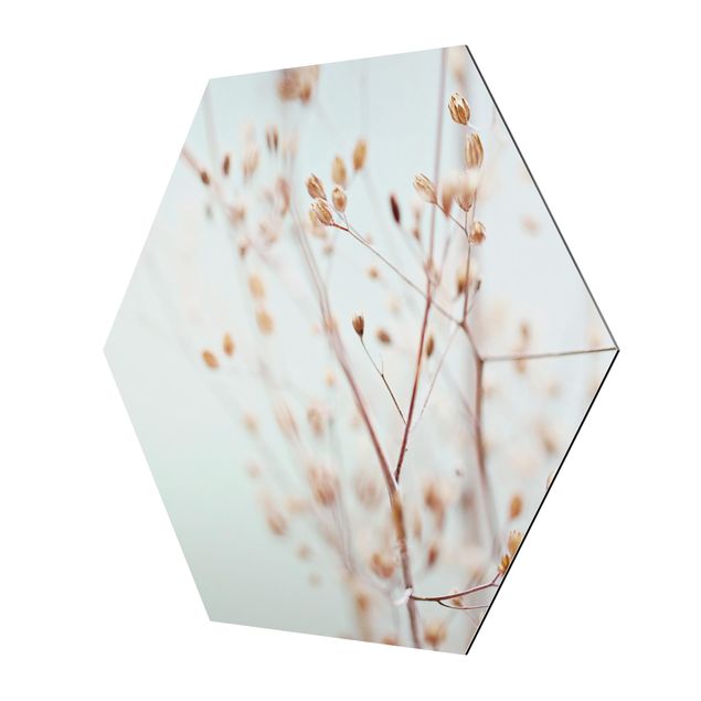 Hexagons Aluminium Dibond schilderijen Pastel Buds On Wild Flower Twig