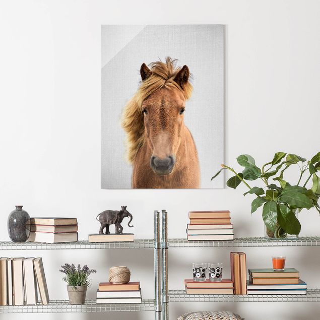 Glasschilderijen - Horse Pauline