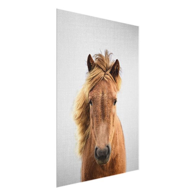 Glasschilderijen - Horse Pauline