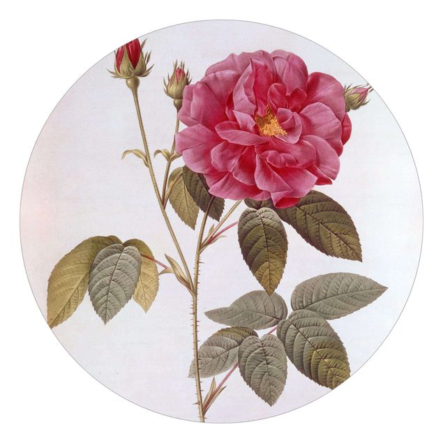 Behangcirkel Pierre Joseph Redoute - Apothecary's Rose