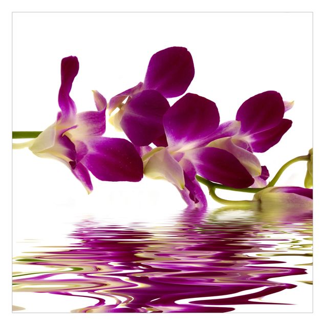 Fotobehang Pink Orchid Waters