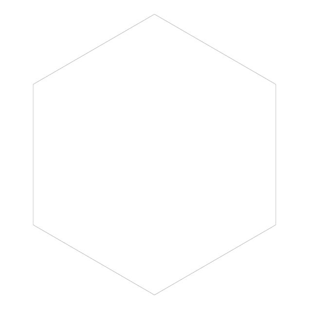 Hexagon Behang Polar White