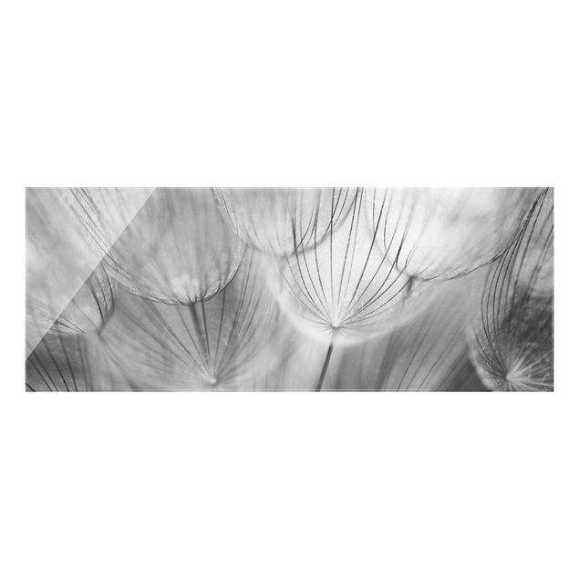 Glasschilderijen Dandelions macro shot in black and white