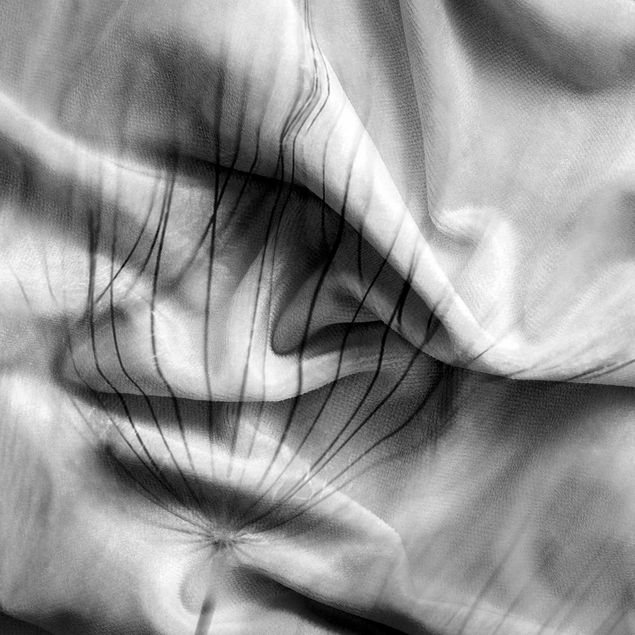gordijnen voor raam Dandelion Macro Shot In Black And White