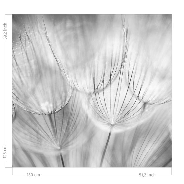 bloem gordijnen Dandelion Macro Shot In Black And White