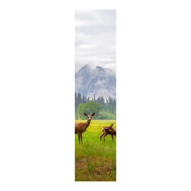 Schuifgordijnen Deer In The Mountains