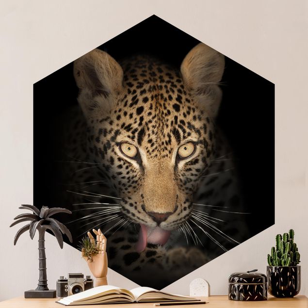Hexagon Behang Resting Leopard