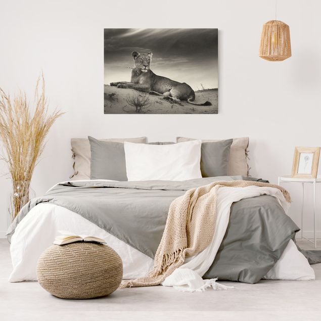 Canvas schilderijen - Goud Resting Lion