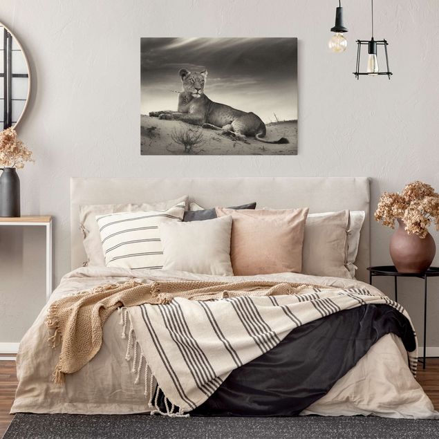 Canvas schilderijen - Goud Resting Lion