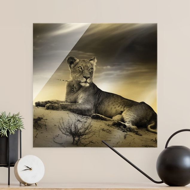 Glasschilderijen Resting Lion
