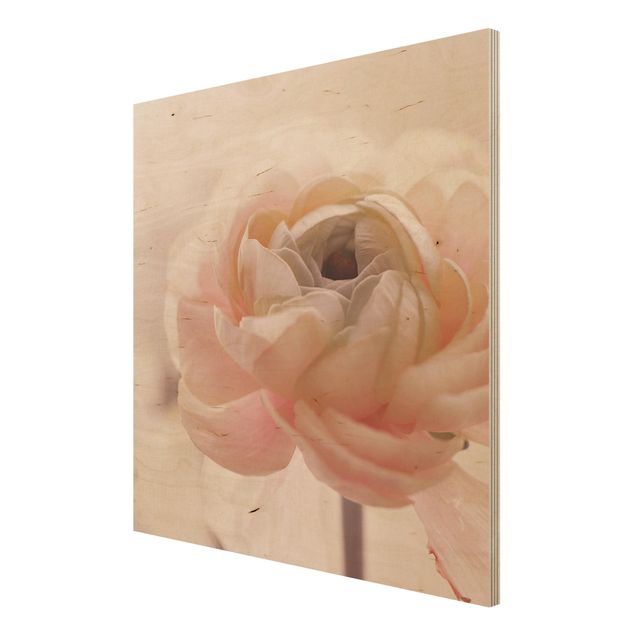 Houten schilderijen Focus On Light Pink Flower