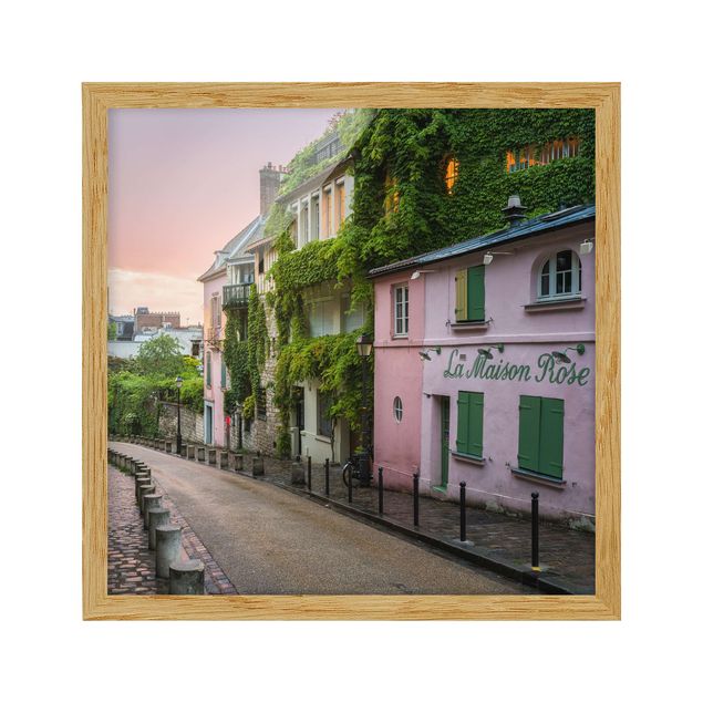 Ingelijste posters Rose Coloured Twilight In Paris