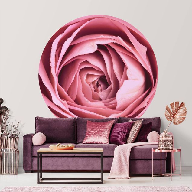 Behangcirkel Pink Rose Blossom