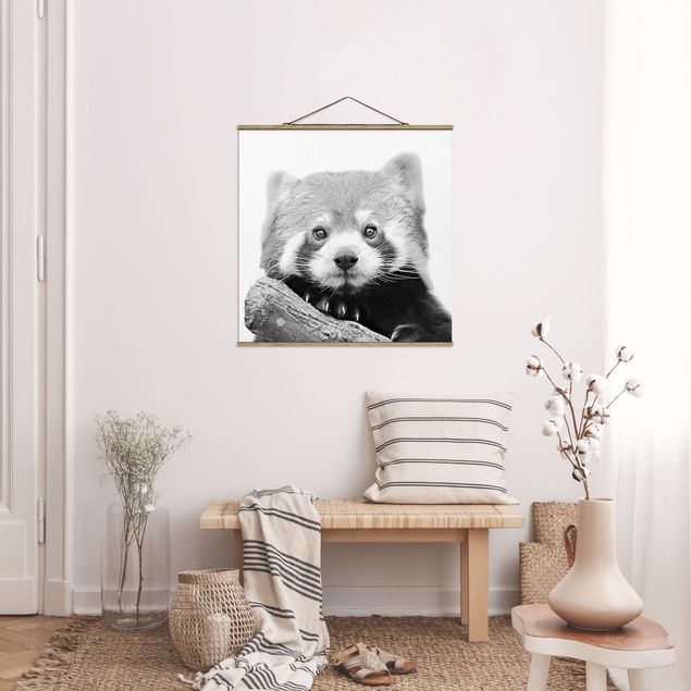 Stoffen schilderij met posterlijst Red Panda In Black And White