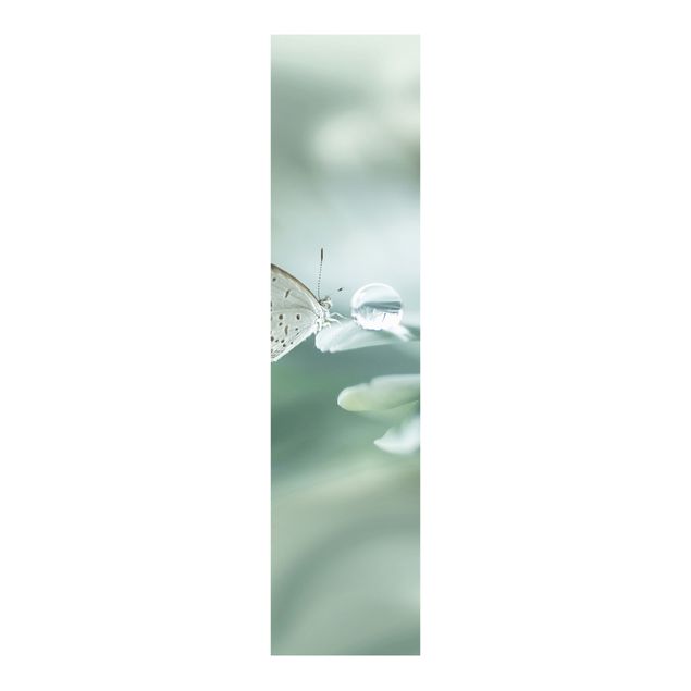 Schuifgordijnen Butterfly And Dew Drops In Pastel Green