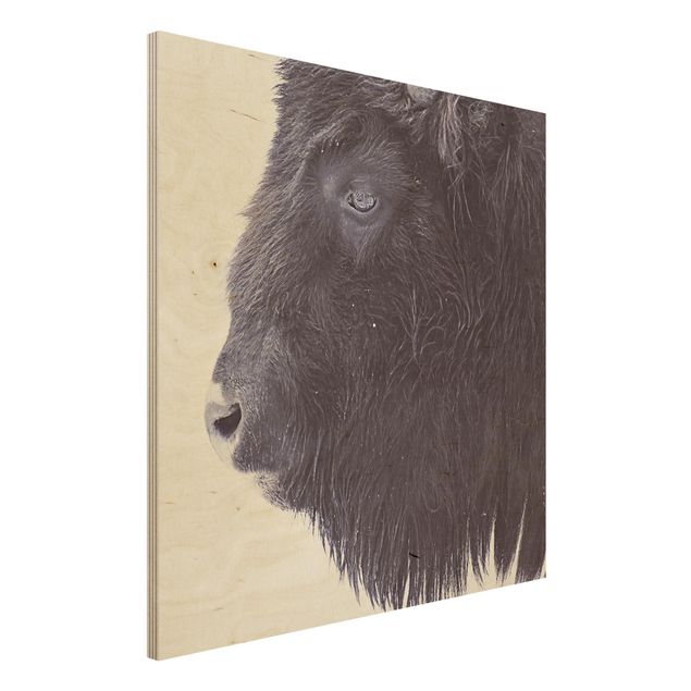 Houten schilderijen Portrait Of A Black Buffalo