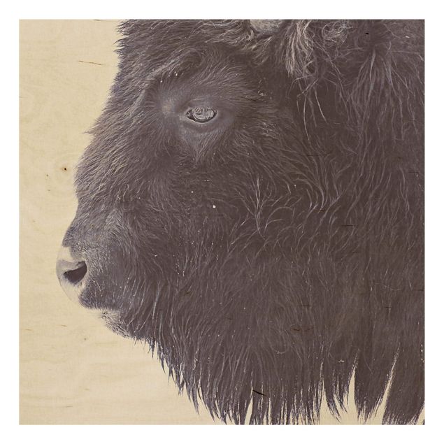 Houten schilderijen Portrait Of A Black Buffalo