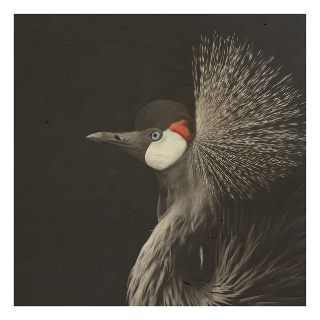 Houten schilderijen Black Crowned Crane