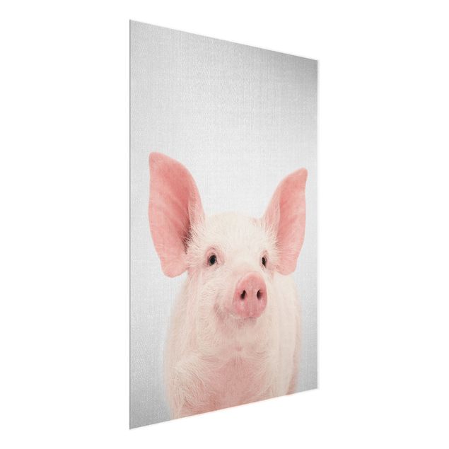 Glasschilderijen - Pig Shorsh