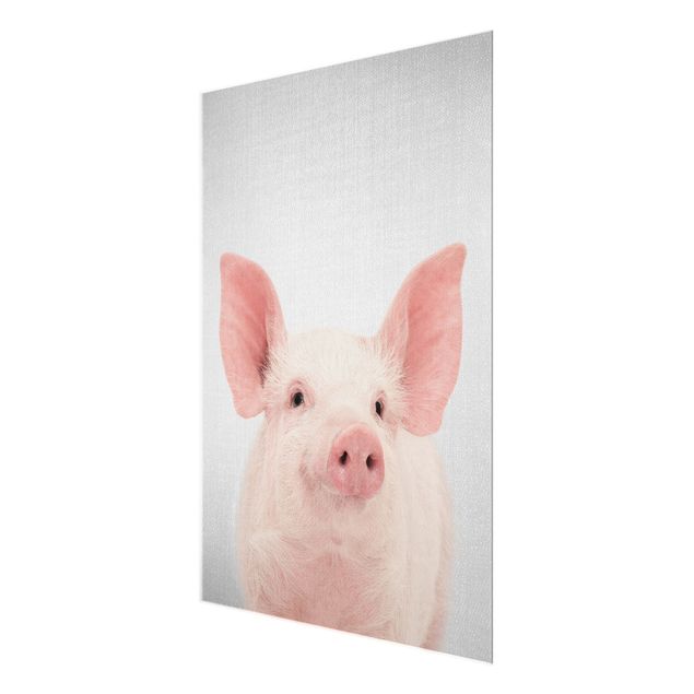 Glasschilderijen - Pig Shorsh