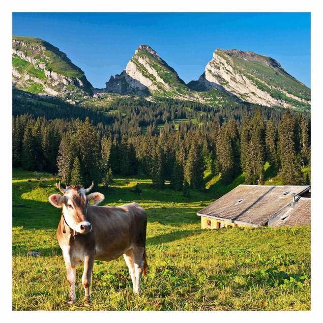 Fotobehang Swiss Alpine Meadow With Cow
