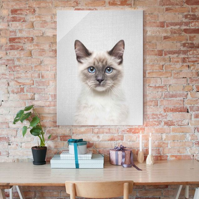 Glasschilderijen - Siamese Cat Sibylle