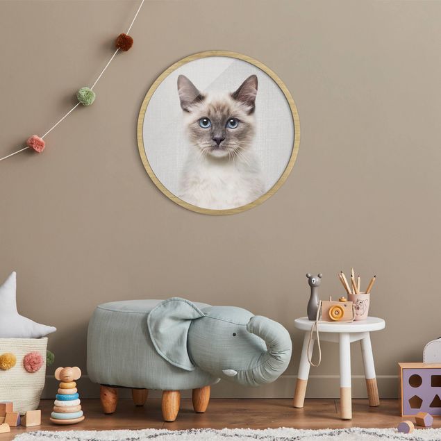 Rond schilderijen Siamese Cat Sibylle