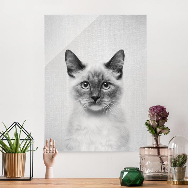 Glas Magnettafel Siamese Cat Sibylle Black And White