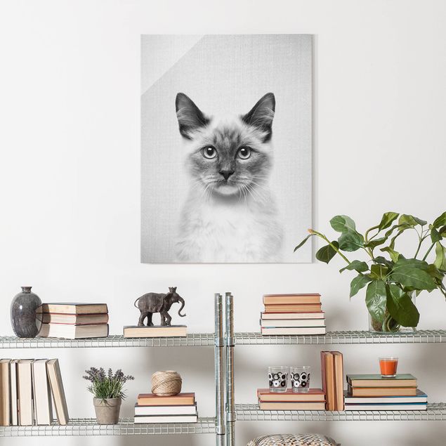 Glasschilderijen - Siamese Cat Sibylle Black And White