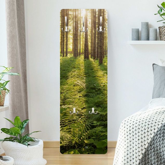 Wandkapstokken houten paneel Sun Rays In Green Forest