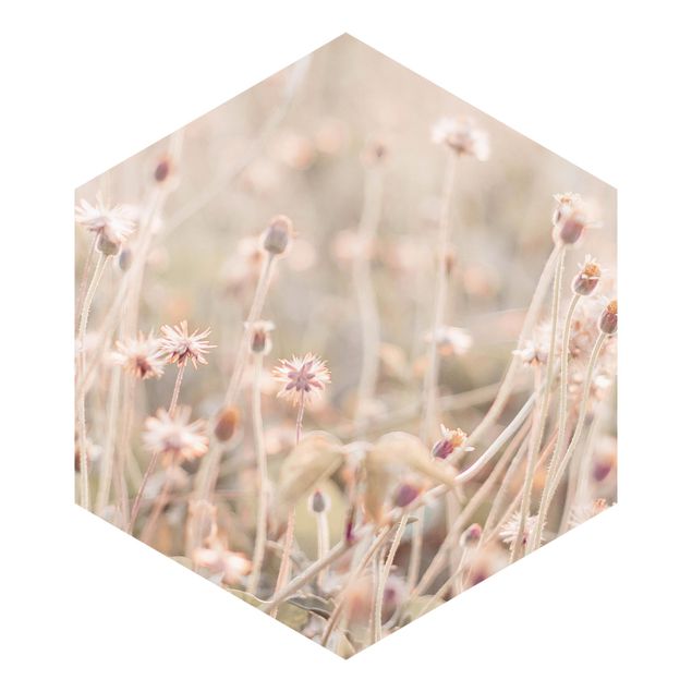 Hexagon Behang Flowering Meadow In the Sun