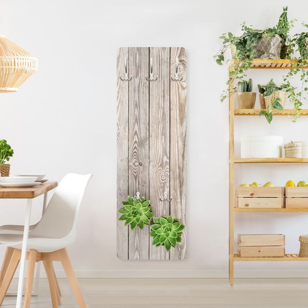 Wandkapstokken houten paneel Succulent Plant