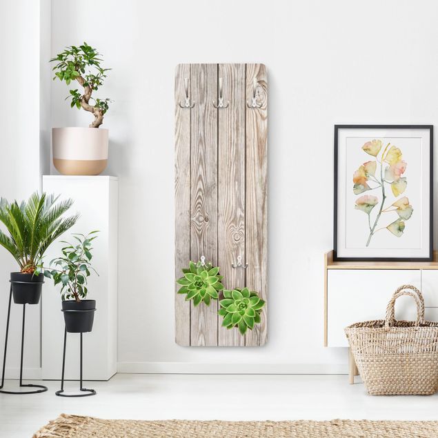 Wandkapstokken houten paneel Succulent Plant