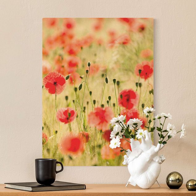 Canvas schilderijen - Goud Summer Poppies