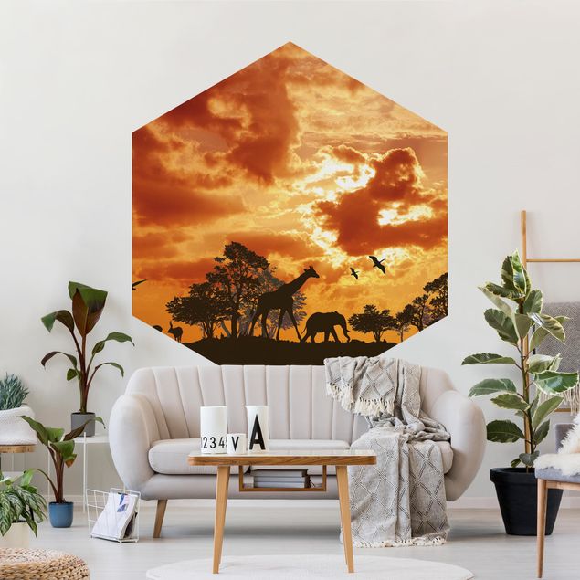 Hexagon Behang Tanzania Sunset