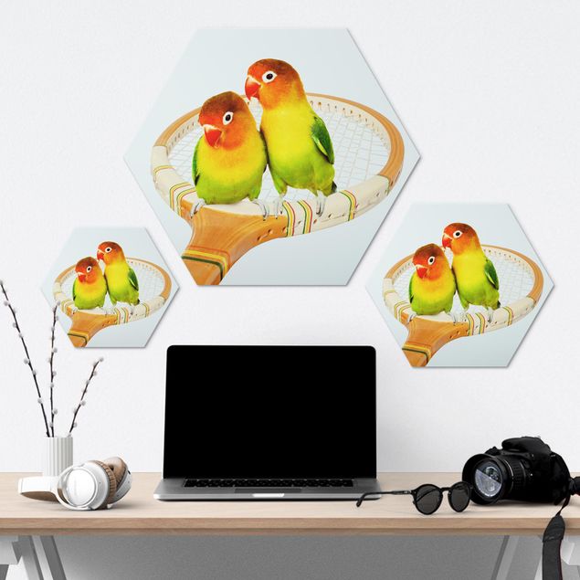 Hexagons Aluminium Dibond schilderijen - Tennis With Birds