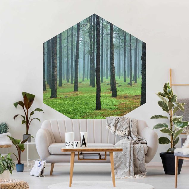 Hexagon Behang Deep Forest With Pine Trees On La Palma