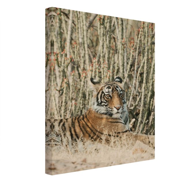 Canvas schilderijen - Goud Tiger With Cacti
