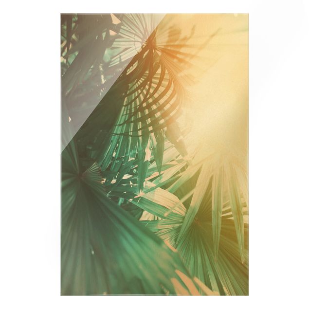Glasschilderijen Tropical Plants Palm Trees At Sunset