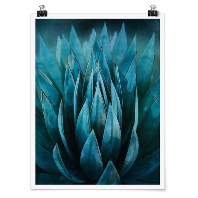 Posters Turquoise Succulents