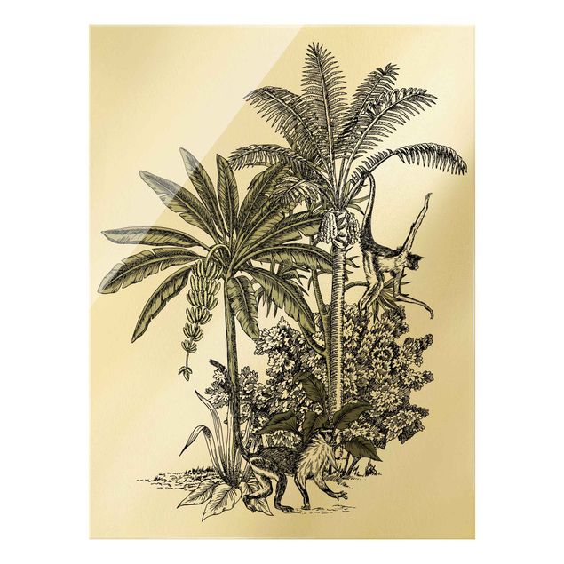 Glasschilderijen Vintage Illustration - Monkeys  And Palm Trees