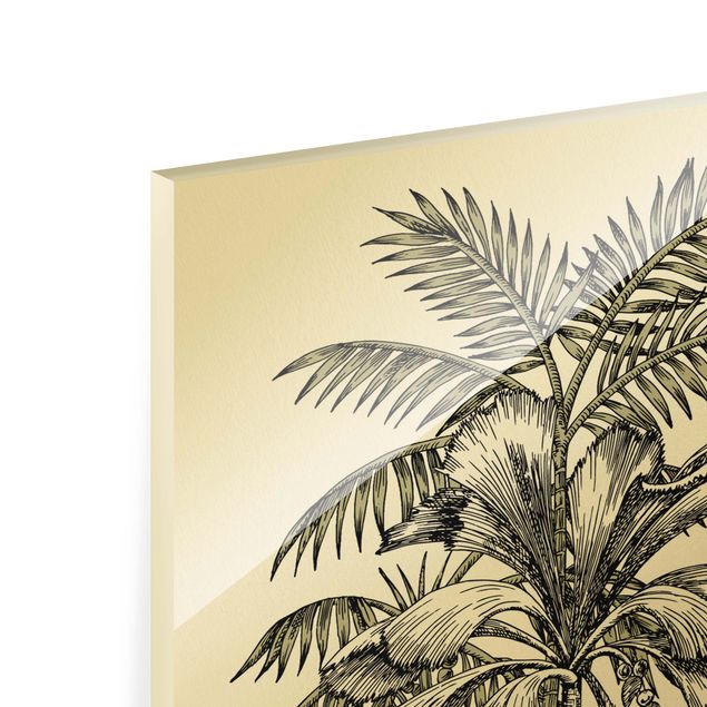 Glasschilderijen Vintage Illustration - Tiger And Palm Trees