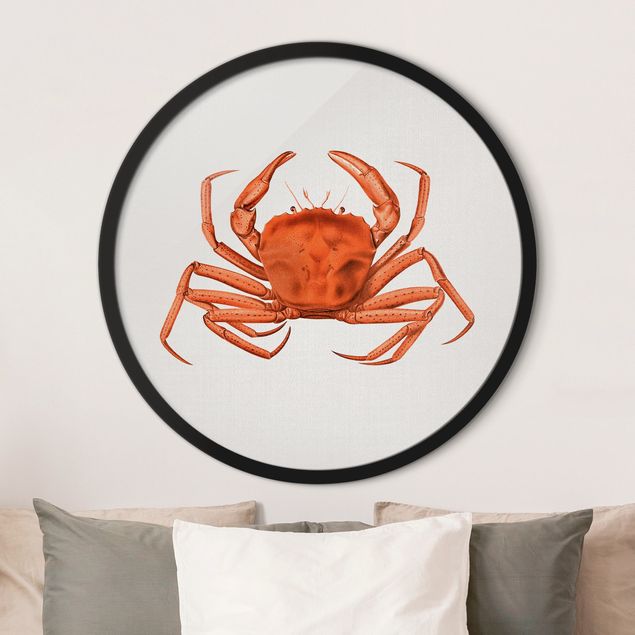 Gerahmte Bilder Rund Vintage Illustration Red Crab