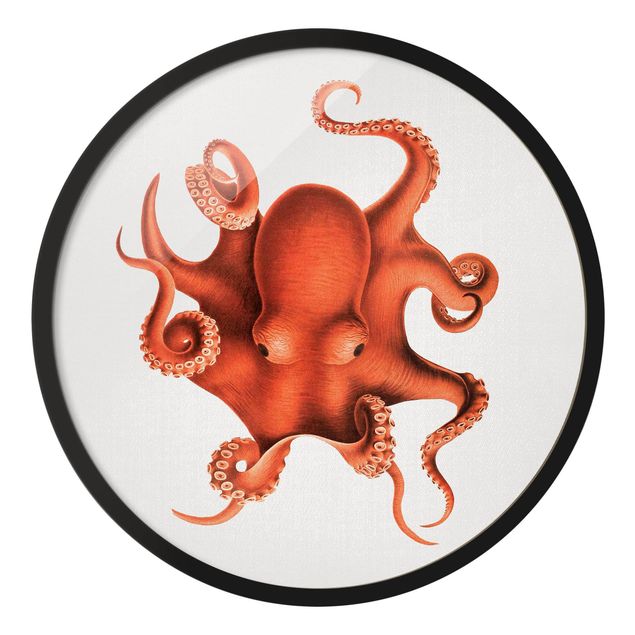 Rond schilderijen Vintage Illustration Red Octopus