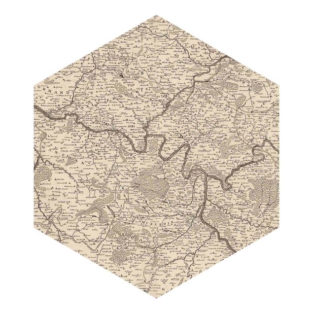 Hexagon Behang Vintage Map France