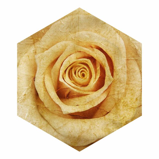 Hexagon Behang Vintage Rose