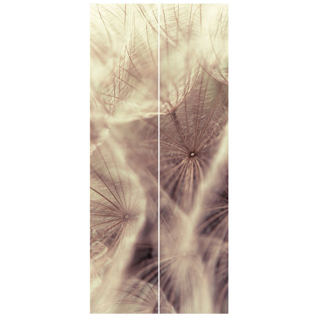 Deur behang Detailed Dandelion Macro Shot With Vintage Blur Effect